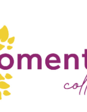 Momentum Collective